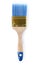 Paint brush with blue bristle
