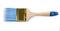 Paint brush with blue bristle on white