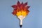 Paint brush with dry bright autumn leaves concept