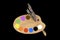 Paint brushes, colors and artist palette