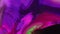 Paint drip ink flow neon fluid mix purple pink dye