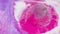 Paint drop glitter fluid splash pink violet white