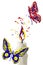 Paint flame on the candle and red yellow blue butterfly flying a