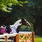 Paint horse with bridle and saddle against background of park.