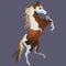 Paint horse. Stands on its hind legs. Cute horse character for children's.