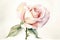 Paint a romantic and dreamy watercolor picture of a single rose in soft pastel colors