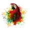 Paint Splatters of Maccaw Parrot on White