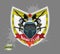 Paintball logo emblem. paintball guns and Wings. Mortal Heraldry