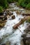 Paintbrush Creek Rushes Toward Jenny Lake near bottom of Canyon