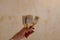 Paintbrush in front of a wall with torn off wallpaper