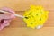 Paintbrush and melon flower on wood plate