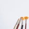 paintbrushes white surface. High quality photo