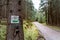 Painted bike sign on a tree in the forest along mountain bike trail. Cycling in the mountains 