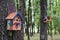 Painted birdhouse in the park