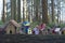 Painted birdhouses in Redwood Park in South Surrey