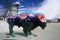 Painted Bison, Community art project, Winter Olympics, state capitol, Salt Lake City, UT