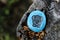 Painted blue rock with shiny gray elephant