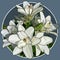 Painted bouquet of white lilies in a circle