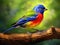 Painted Bunting