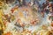 Painted ceiling in the Royal Palace of Caserta Italy