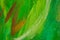 Painted Color Background, Abstract Green Paint Texture