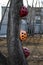 Painted construction helmets in ladybug