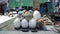 Painted and decorated ostrich eggs sell in tourist bazaar of South Africa art artistic souvenir