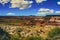 Painted Desert III