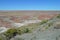 Painted Desert Petrified National Forest desert floor Panorama