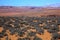 Painted Desert Sagebrush Arizona