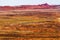 Painted Desert Yellow Grass Lands Orange Sandstone Red Fiery Fur