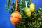 Painted Easter egg hung on a boxwood bush