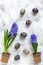 Painted Easter eggs and colorful hyacinths.