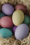 Painted Easter Eggs Nesting