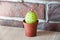 Painted eggs. DIY and handmade. Spring seedlings. Greenhouse. Cactus blooming. Happy easter holiday. natural dye. Egg hunt.