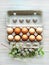 Painted eggs in egg tray. Happy easter. Spring holiday. Holiday celebration, preparation. Egg hunt. Flower. Healthy and happy