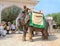 Painted elephant and rider at Dera Amer Elephant Safari. The camp is run by a local family out of their ancestral home