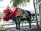 Painted Fibreglass Buffalo in Jackson Hole Town Wyoming