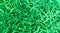 Painted green background of thickets of coral underwater