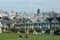 Painted ladies