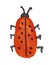 Painted ladybug