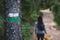 Painted path mark on a tree with blurred woman hiker on background mushroom hunter