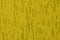 Painted plaster wall background in colors of the year 2021 illuminating yellow and the ultimate gray. Exterior surface