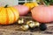 Painted pumpkins and gold garnets on the craft paper in the creative studio