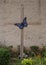 Painted purple metal butterfly attached to the cross at the United Methodist Church of Saint John the Apostle in Arlington, Texas.