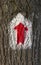 Painted red tourist sign, hiking arrow, for navigation in the forest, on the surface of tree bark