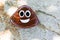 Painted rock of poo emoji