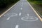 Painted signs on asphalt for bicycle dedicated lanes. A separate bike path in the city