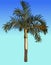 Painted small palm tree with fluffy leaves