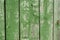 Painted vibrant green old faded wooden planking background with flaws